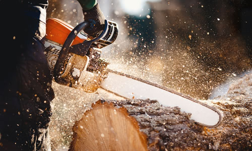 close up of saw cutting through a log